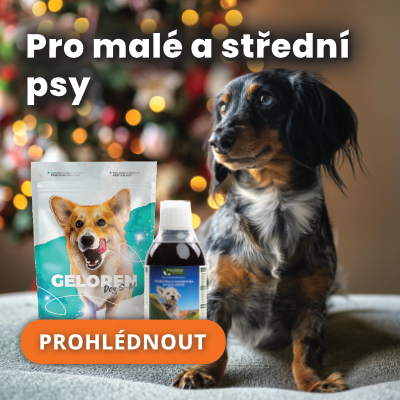 FB kampaň vánoční balíčky S